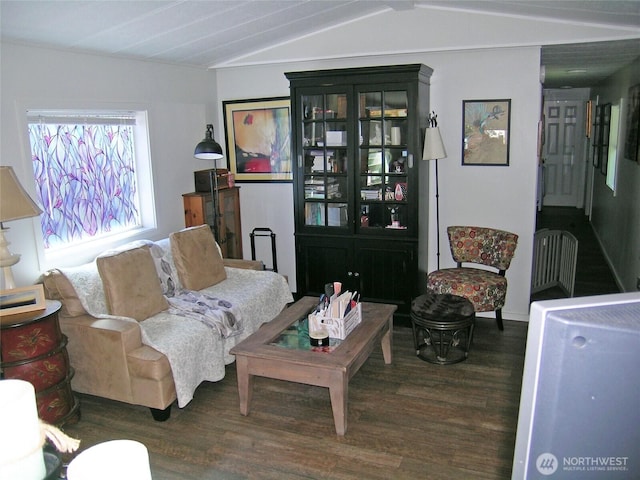 921 Autumn Ln Unit 254, Bellingham, WA 98229 - living area featuring wood finished floors and vaulted ceiling