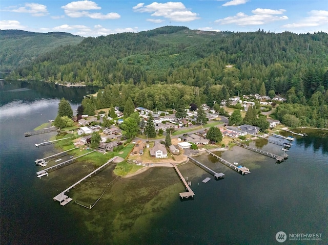 921 Autumn Ln Unit 254, Bellingham, WA 98229 - aerial view of property's location featuring a heavily wooded area and a water and mountain view