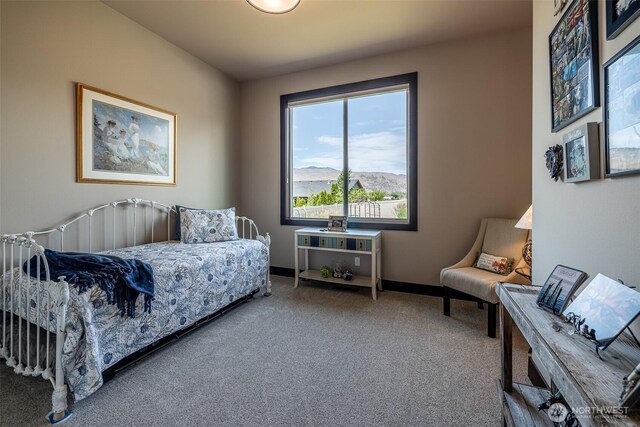 453 Spruce Ct NW, East Wenatchee, WA 98802 - carpeted bedroom with baseboards