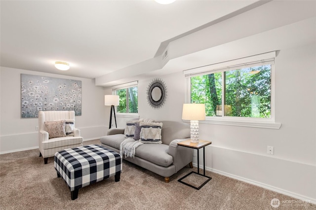 19508 23rd Ave NE, Shoreline, WA 98155 - living room with carpet flooring and baseboards