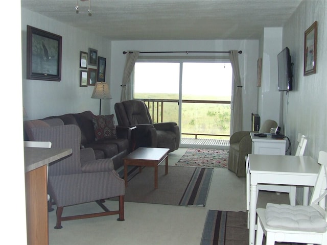304 NW 14th St NW Unit 207, Long Beach, WA 98631 - view of living room