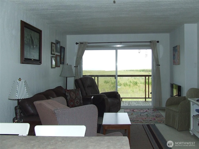 304 NW 14th St NW Unit 207, Long Beach, WA 98631 - living room with a textured ceiling
