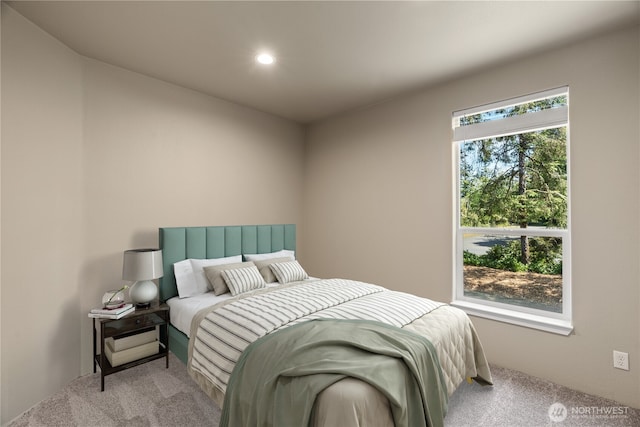 712 Syzygy Ct SE, Ocean Shores, WA 98569 - bedroom featuring carpet and recessed lighting