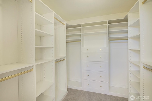 9208 11th Ave NW, Seattle, WA 98117 - spacious closet with light carpet