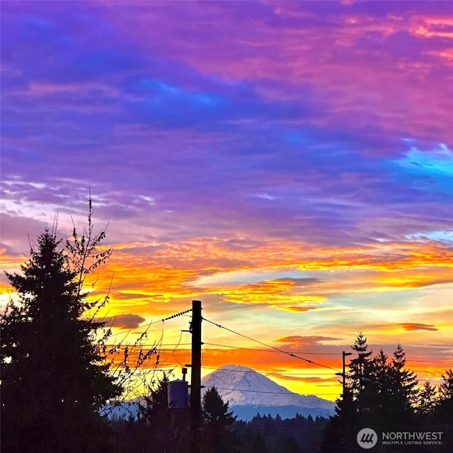 9208 11th Ave NW, Seattle, WA 98117 - nature at dusk with a mountain view
