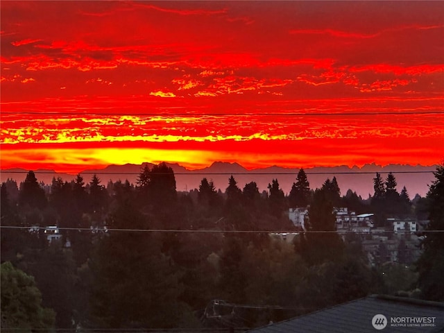 9208 11th Ave NW, Seattle, WA 98117 - water view