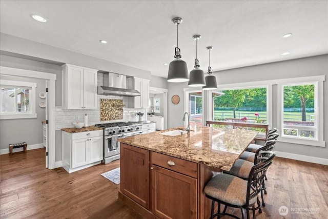 13228 202nd Ave SE, Issaquah, WA 98027 - kitchen featuring stainless steel stove, wall chimney exhaust hood, tasteful backsplash, white cabinetry, and recessed lighting