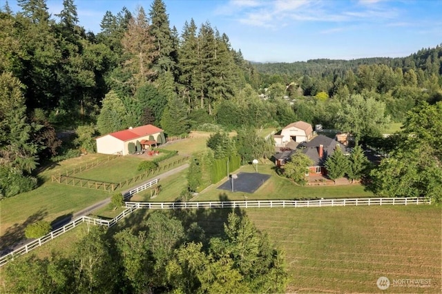 13228 202nd Ave SE, Issaquah, WA 98027 - view of rural area featuring a heavily wooded area