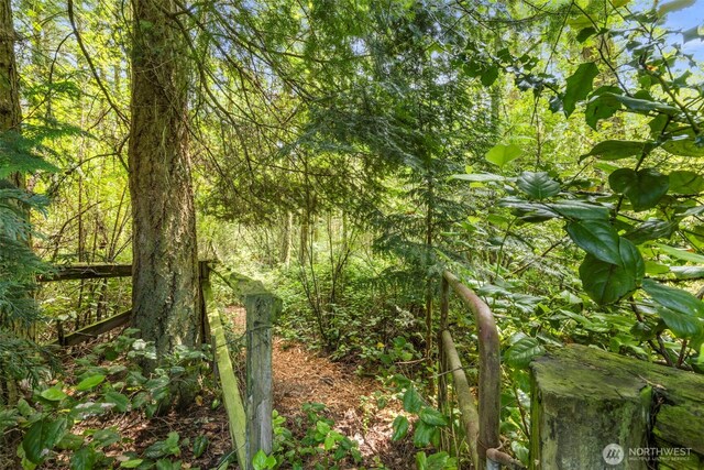 4766 Mason St, Port Townsend, WA 98368 - view of wooded area