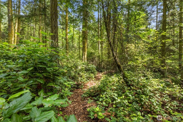 4766 Mason St, Port Townsend, WA 98368 - view of wooded area