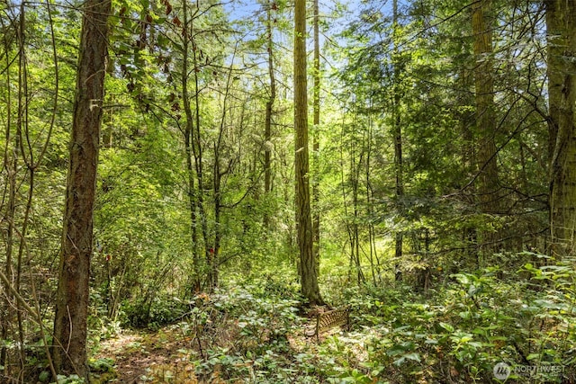 4766 Mason St, Port Townsend, WA 98368 - view of tree filled area