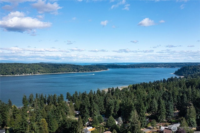 5850 Rest Pl NE, Bremerton, WA 98311 - water view with a heavily wooded area