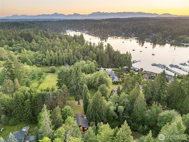 14855 Phelps Rd NE, Bainbridge Island, WA 98110 - aerial view at dusk of a view of trees and a water and mountain view