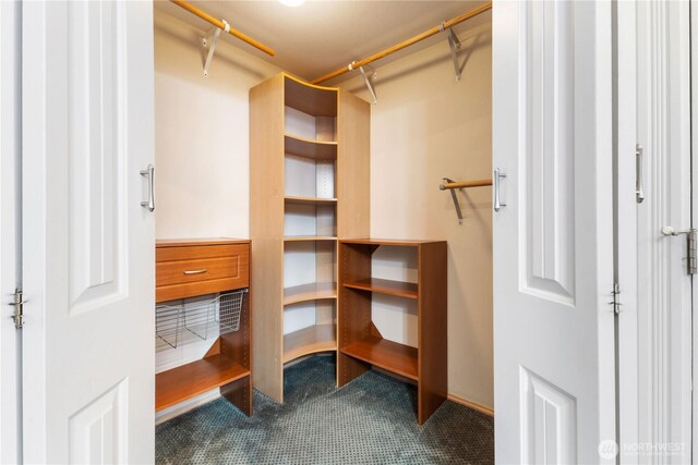 3035 Carbon Ridge St, Enumclaw, WA 98022 - spacious closet featuring dark colored carpet