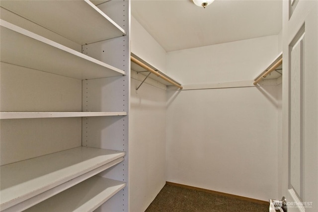 408 Cross Creek Ct, South Prairie, WA 98385 - walk in closet with dark carpet