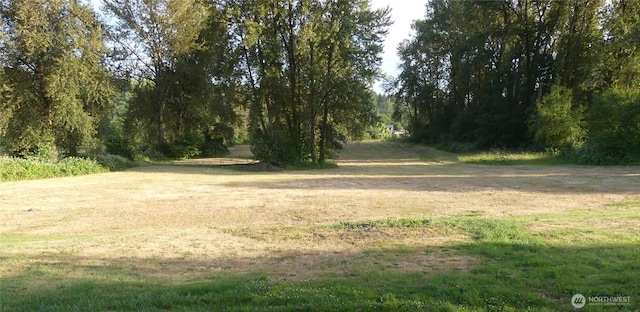 2009 Lewis Rive Rd Unit 24, Woodland, WA 98674 - photo 11