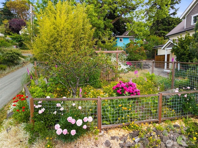 832 Willow St, Port Townsend, WA 98368 - view of yard