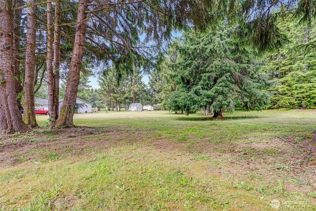 46 Schram Dr, Hoquiam, WA 98550 - photo 15