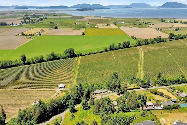 16071 Colony Rd, Bow, WA 98232 - overview of rural landscape featuring extensive farmland and a mountain backdrop