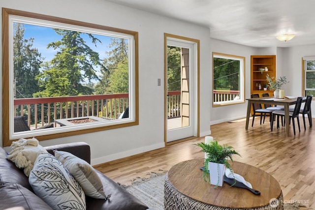 16071 Colony Rd, Bow, WA 98232 - living room featuring wood finished floors and healthy amount of natural light