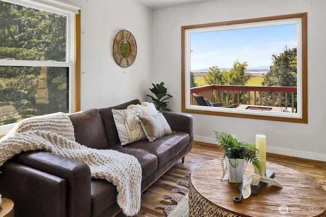 16071 Colony Rd, Bow, WA 98232 - living room with baseboards and wood finished floors