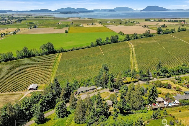 16071 Colony Rd, Bow, WA 98232 - aerial view of sparsely populated area with farmland and mountains