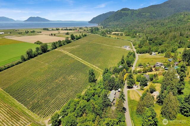 16071 Colony Rd, Bow, WA 98232 - aerial view of sparsely populated area with rows of crops and a mountainous background