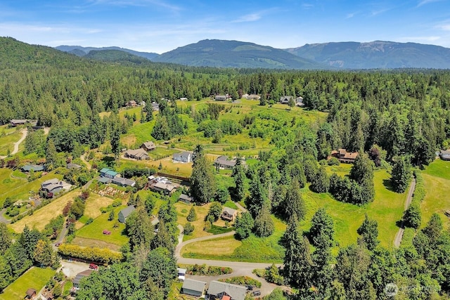 16071 Colony Rd, Bow, WA 98232 - bird's eye view of a forest and a mountain backdrop