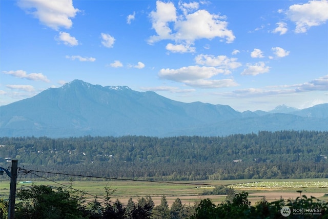 2319 Gale Pl, Everett, WA 98203 - view of mountain background featuring a forest
