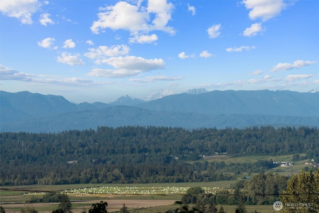 2319 Gale Pl, Everett, WA 98203 - view of mountain background with a forest