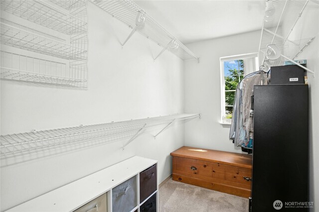 6205 26th St NE, Tacoma, WA 98422 - spacious closet with carpet floors