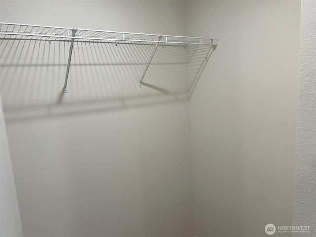 5711 112th Avenue Ct E Unit 30, Puyallup, WA 98372 - view of spacious closet