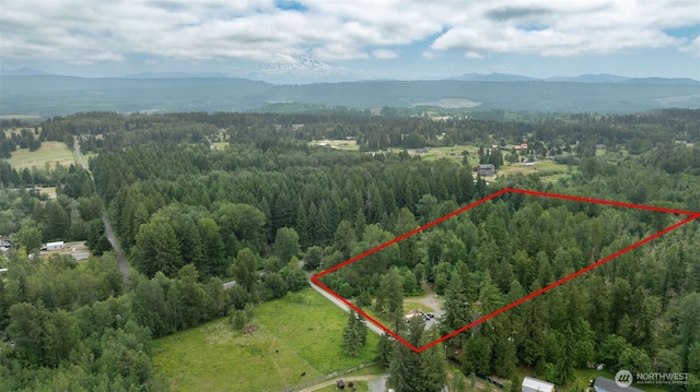 13920 273rd St E, Graham, WA 98338 - photo 38