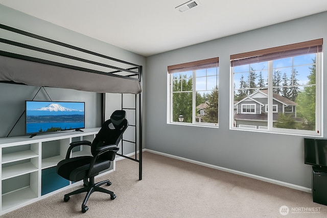 21552 SE 275th Ct, Maple Valley, WA 98038 - carpeted office space with baseboards
