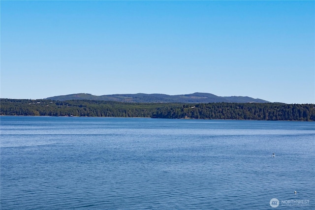 160 Wildwood Shrs, Brinnon, WA 98320 - water view featuring mountains