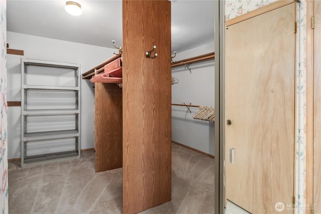160 Wildwood Shrs, Brinnon, WA 98320 - spacious closet featuring carpet floors