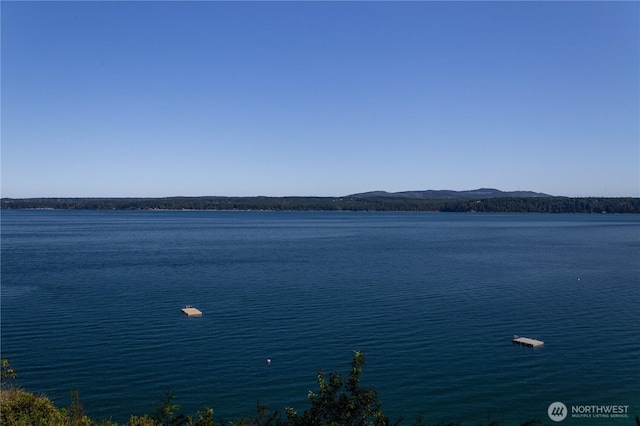 160 Wildwood Shrs, Brinnon, WA 98320 - water view featuring mountains