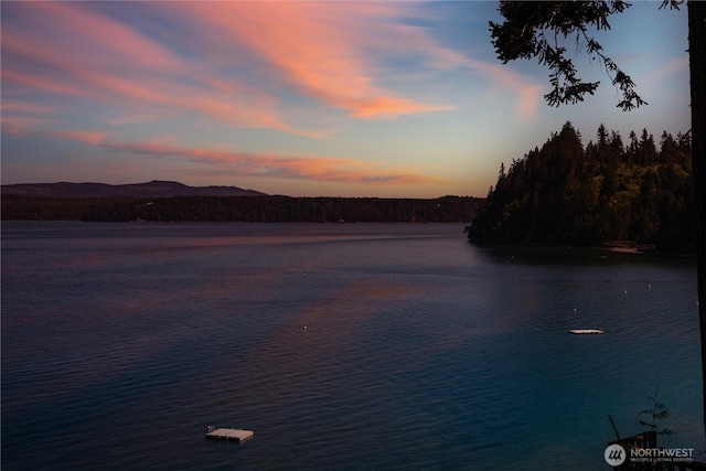 160 Wildwood Shrs, Brinnon, WA 98320 - water view with a mountainous background