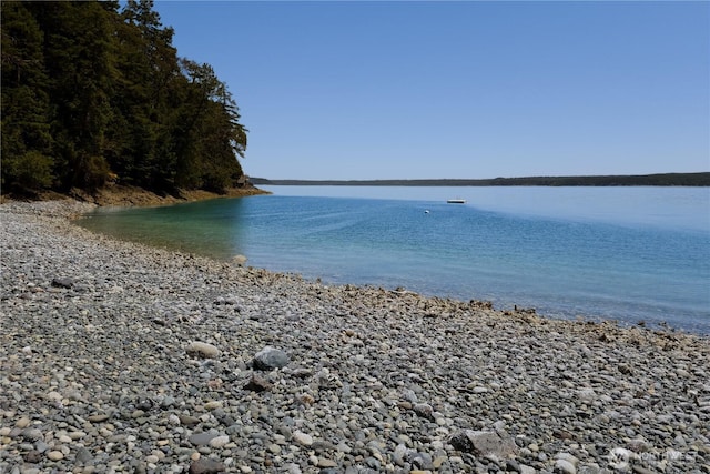 160 Wildwood Shrs, Brinnon, WA 98320 - water view