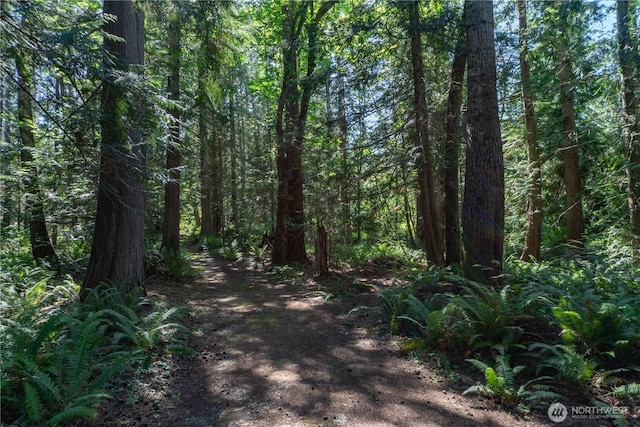 160 Wildwood Shrs, Brinnon, WA 98320 - view of street featuring a wooded view