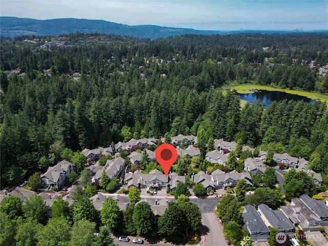 4196 248th Ct SE Unit 62, Sammamish, WA 98029 - aerial view of residential area with a forest and a large body of water