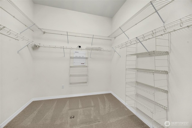 23031 NE 139th Ct, Redmond, WA 98053 - photo 10