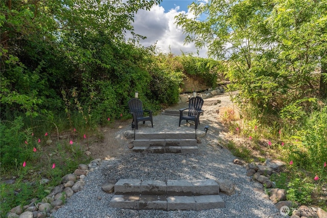 485 Hidden Ln, Chelan, WA 98816 - view of yard with a patio area