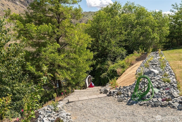 485 Hidden Ln, Chelan, WA 98816 - view of yard