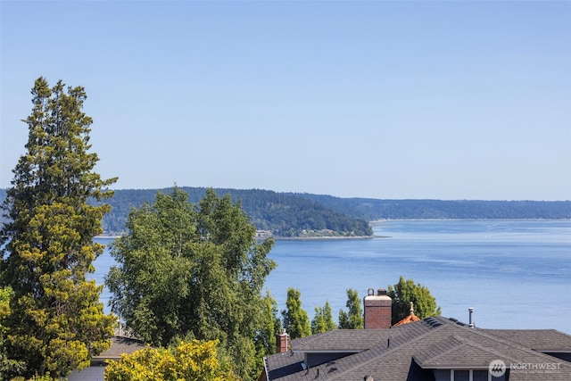 4410 N 45th St, Tacoma, WA 98407 - water view