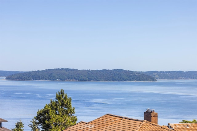 4410 N 45th St, Tacoma, WA 98407 - dock area with a water view