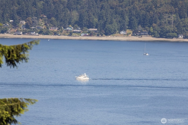 4410 N 45th St, Tacoma, WA 98407 - water view featuring a heavily wooded area
