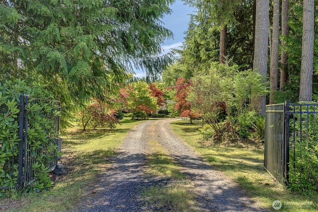 25321 133rd Ave NE, Arlington, WA 98223 - view of dirt / gravel driveway with a gated entry