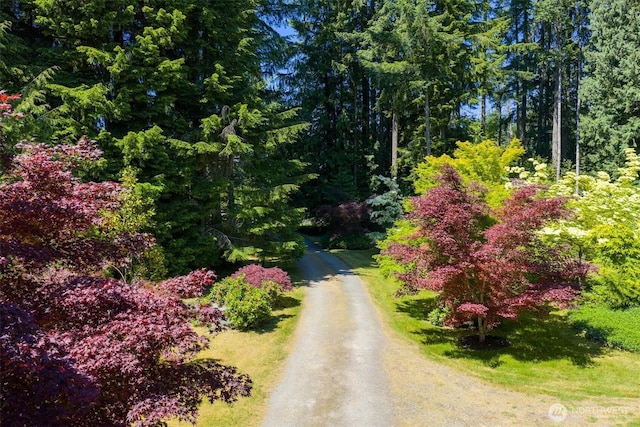 25321 133rd Ave NE, Arlington, WA 98223 - view of street with a forest view