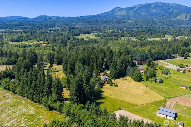 25321 133rd Ave NE, Arlington, WA 98223 - aerial view of a heavily wooded area and a mountain backdrop